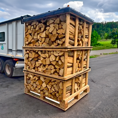 Trockenes Brennholzscheit 25cm auf einer Palette (3 Kubikmeter)